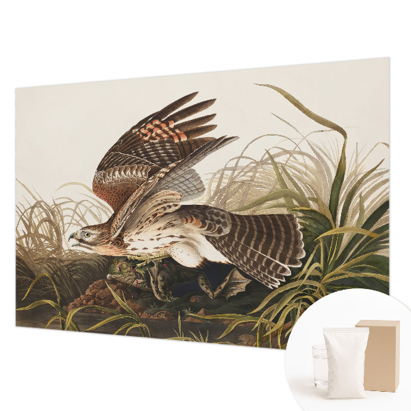 Large wall mural wallpaper Winged Beauty