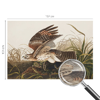 Large wall mural wallpaper Winged Beauty