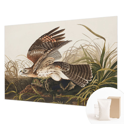 Large wall mural wallpaper Winged Beauty