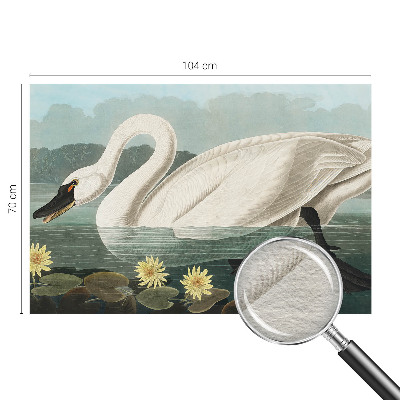 Modern wall mural Swan and water lilies