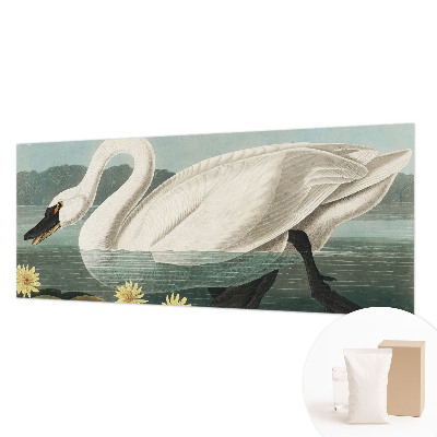 Modern wall mural Swan and water lilies
