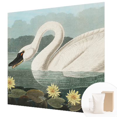 Modern wall mural Swan and water lilies
