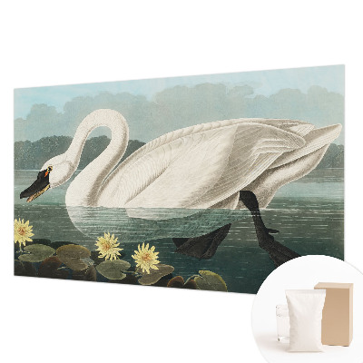 Modern wall mural Swan and water lilies