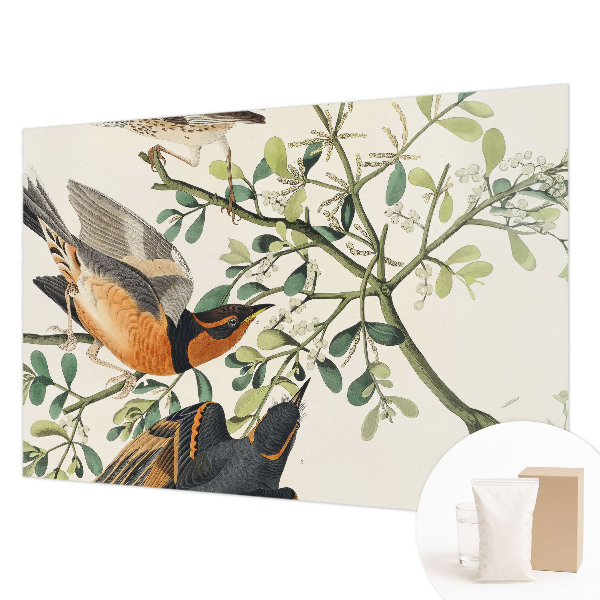 Modern wall mural for bedroom Colorful birds