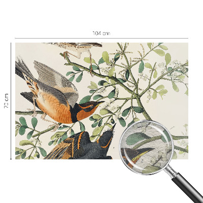 Modern wall mural for bedroom Colorful birds