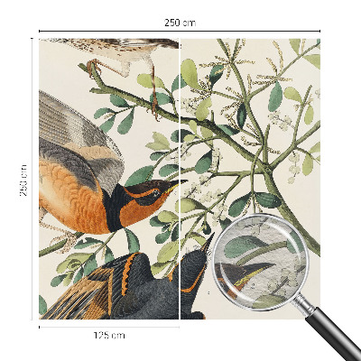 Modern wall mural for bedroom Colorful birds