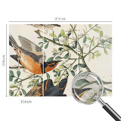 Modern wall mural for bedroom Colorful birds