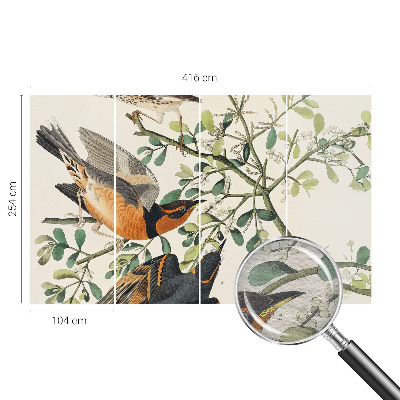 Modern wall mural for bedroom Colorful birds