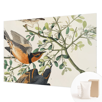 Modern wall mural for bedroom Colorful birds