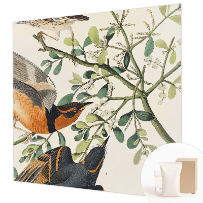 Modern wall mural for bedroom Colorful birds