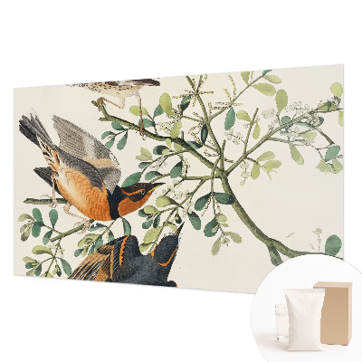 Modern wall mural for bedroom Colorful birds