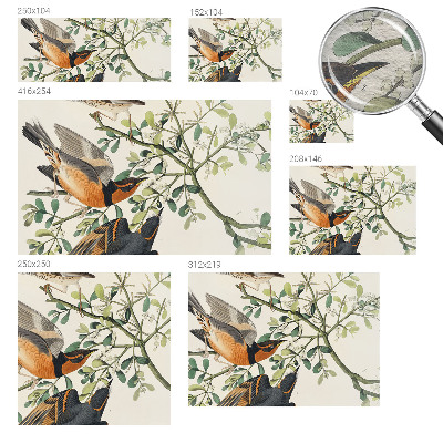 Modern wall mural for bedroom Colorful birds