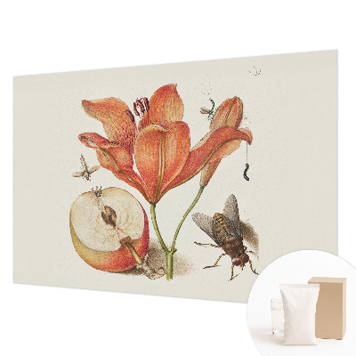 Non-woven wall mural Botanical illustration