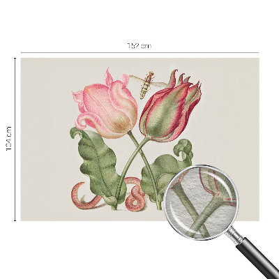 Premium photo wallpaper Tulip beauty