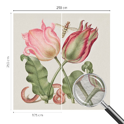 Premium photo wallpaper Tulip beauty