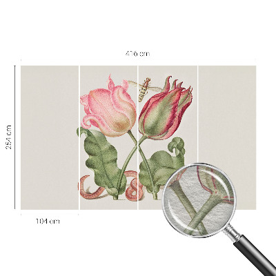 Premium photo wallpaper Tulip beauty