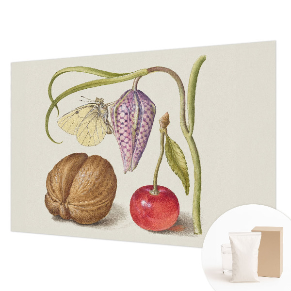 Non-woven photo wallpaper Butterfly plant