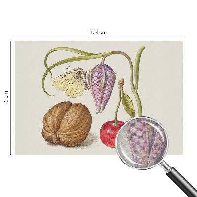 Non-woven photo wallpaper Butterfly plant