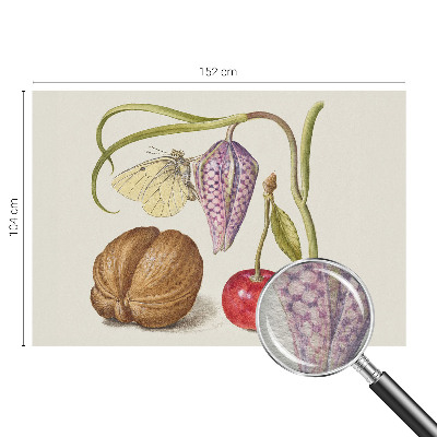 Non-woven photo wallpaper Butterfly plant