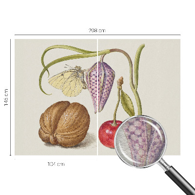 Non-woven photo wallpaper Butterfly plant