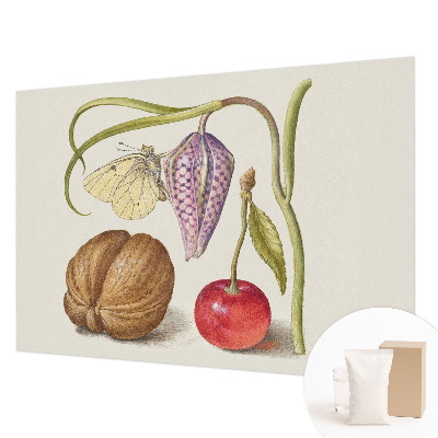 Non-woven photo wallpaper Butterfly plant