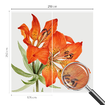Wall mural Orange lily
