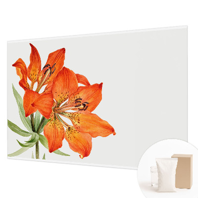 Wall mural Orange lily