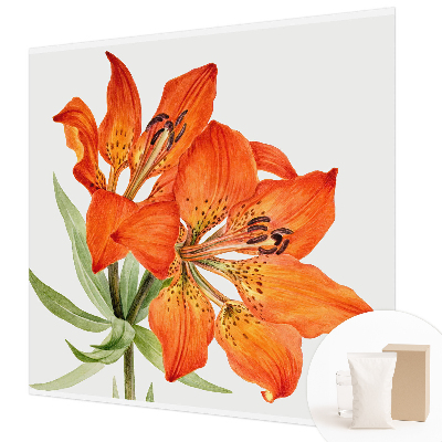 Wall mural Orange lily