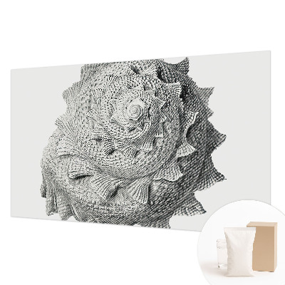 Large wall mural The art of nature