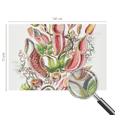 Large wallpaper mural Plant details