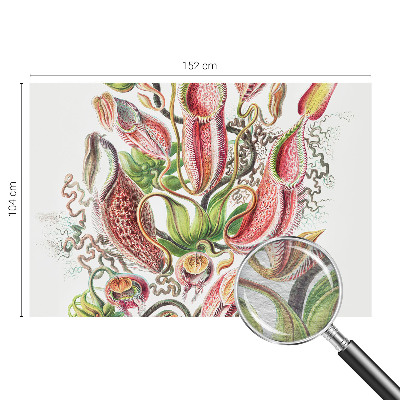 Large wallpaper mural Plant details