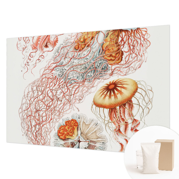 Custom size wall mural Fancy jellyfish