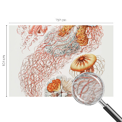 Custom size wall mural Fancy jellyfish