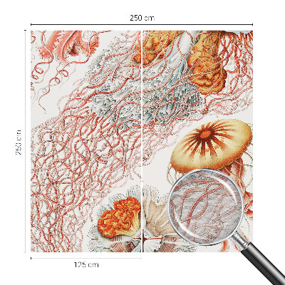 Custom size wall mural Fancy jellyfish