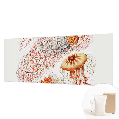 Custom size wall mural Fancy jellyfish
