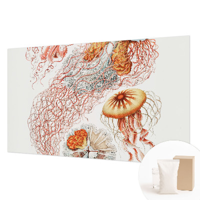 Custom size wall mural Fancy jellyfish