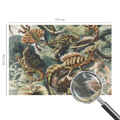 Large wall mural wallpaper Exotic reptiles