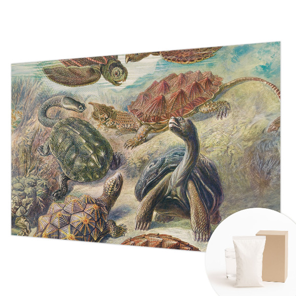 Modern wall mural for bedroom Turtle fauna