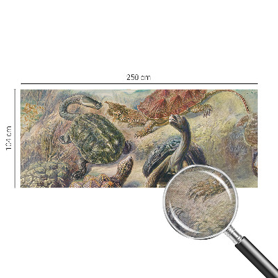 Modern wall mural for bedroom Turtle fauna