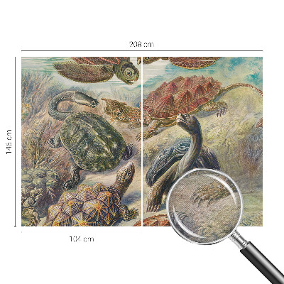 Modern wall mural for bedroom Turtle fauna