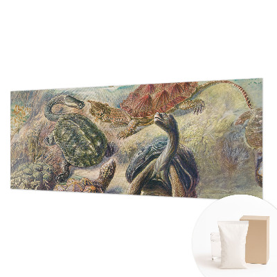 Modern wall mural for bedroom Turtle fauna