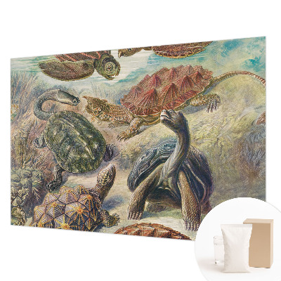 Modern wall mural for bedroom Turtle fauna