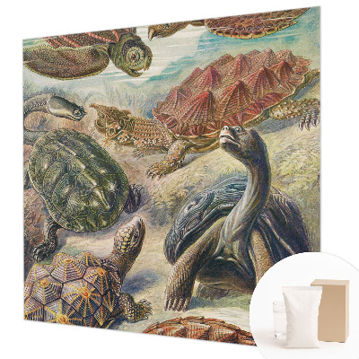 Modern wall mural for bedroom Turtle fauna