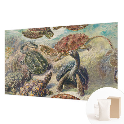 Modern wall mural for bedroom Turtle fauna