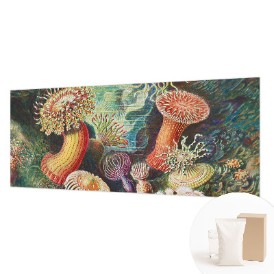 Modern wall mural for living room Fancy anemones