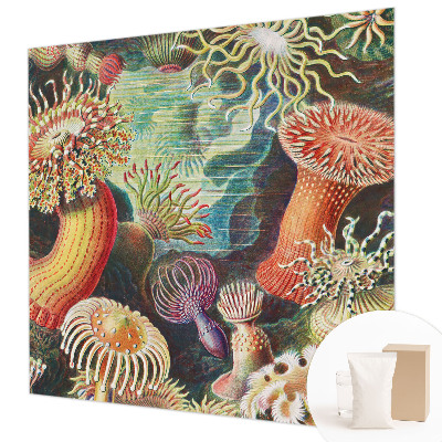 Modern wall mural for living room Fancy anemones