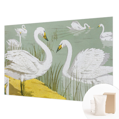 High quality photo wallpaper Swan Lake