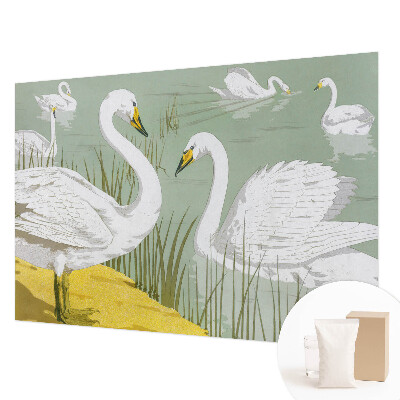 High quality photo wallpaper Swan Lake