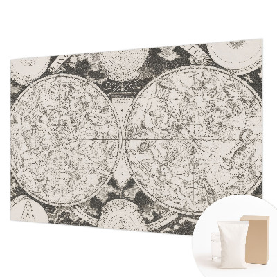 Premium wall mural for bedroom Star map
