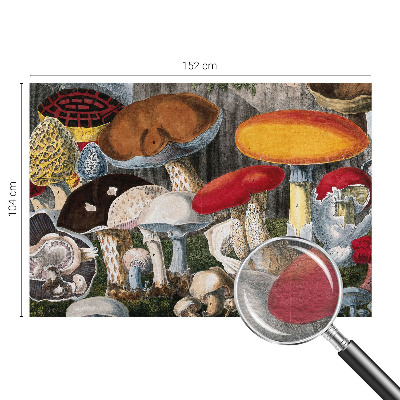 Wallpaper mural Botanical mushrooms